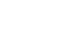 9 TOED SLOTH logo